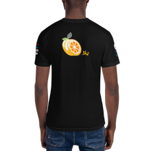 Load image into Gallery viewer, NASA E3S Team Black Swan Search Tshirt