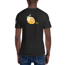 Load image into Gallery viewer, NASA E3S Team Black Swan Search Tshirt