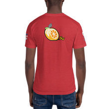 Load image into Gallery viewer, NASA E3S Team Black Swan Search Tshirt